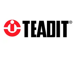 Logo_teadid